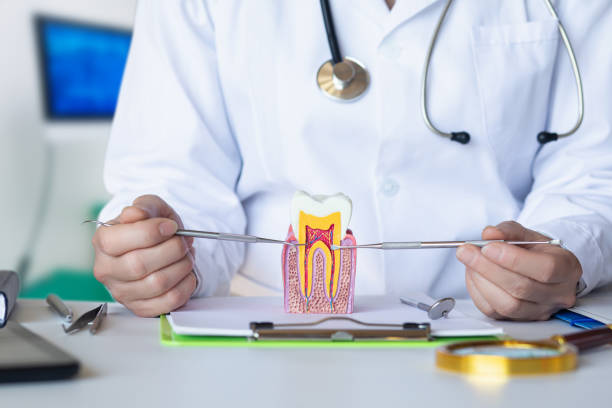 Best Pediatric Emergency Dentist in Cornwall, PA